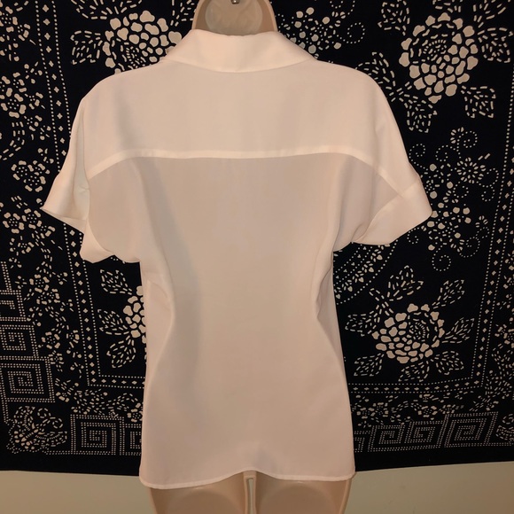 Basic Button Down - Picture 5 of 5